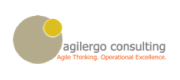 agilergo consulting corp.